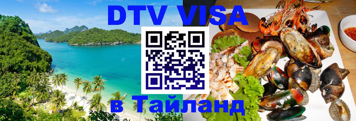 Сколько стоит DTV виза — актуальные цены, оформление даже без документов - Анкара 